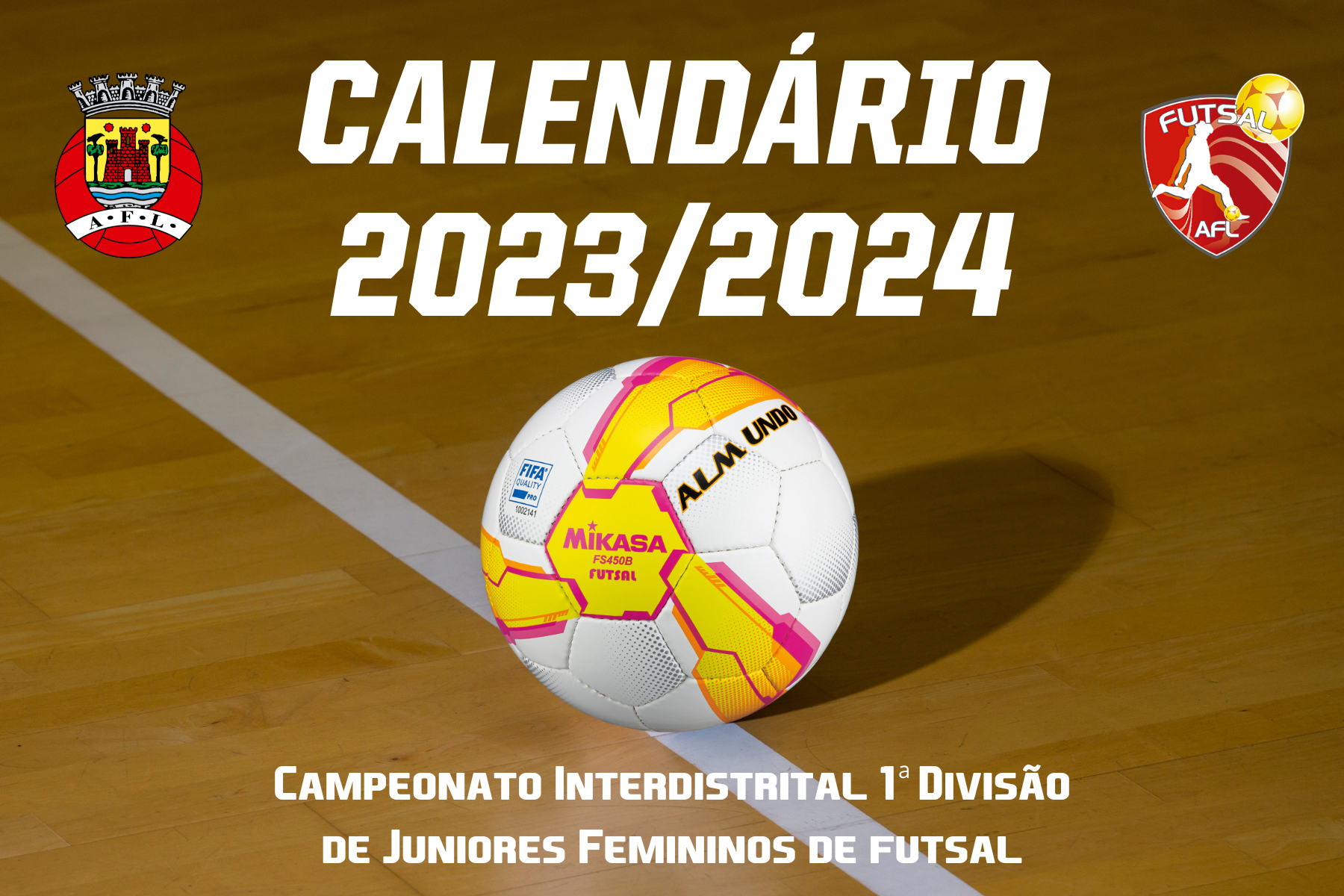 Cursos de Treinadores de futebol e futsal – AFL